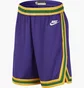 Шорты мужские Nike Dri-Fit Nba Swingman Utah Jazz Hardwood Classics 2023/24 Violet DX8726-547