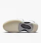 Кросівки чоловічі Nike Air Zoom Flight 95 Shoes Beige DX5505-100