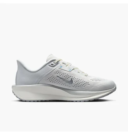 Кроссовки женские Nike Quest 6 Grey FD6034-007