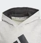 Худи детское Adidas Essentials Sportswear Grey GN4019