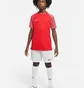 Футболка дитяча Nike Dri-Fit Academy Red DH8369-657