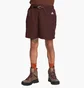 Шорты мужские Nike Acg Trail Shorts Brown CZ6704-227