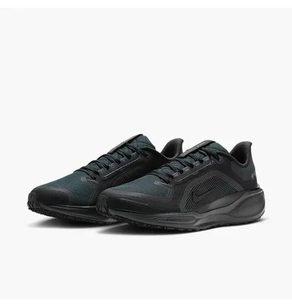 Кросівки чоловічі Nike Air Zoom Pegasus 41 Gtx Black FQ1356-001