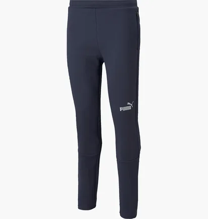 Штаны мужские Puma Teamfinal Casuals Blue 657386-06