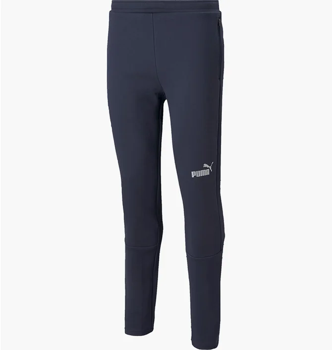 Штаны мужские Puma Teamfinal Casuals Blue 657386-06