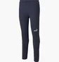 Штаны мужские Puma Teamfinal Casuals Blue 657386-06