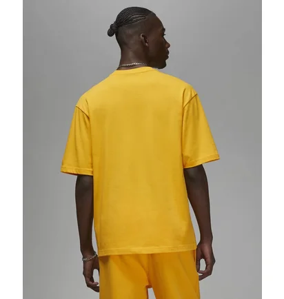 Футболка мужская Air Jordan Wordmark Tee Yellow FJ1969-739