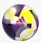 Футзальный мяч Adidas Conext Pro Sala Violet/White JH1278