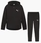 Спортивный костюм мужской Puma Evostripe Fz Dk Black 678995-01__678997-01