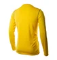 Лонгслів чоловічий Nike M Dry Park20 Crew Top Yellow BV6875-719