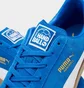 Кроссовки мужские Puma Handball Blue 106695-01