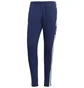 Штаны мужские Adidas Squadra 21 Sweat Blue GT6643