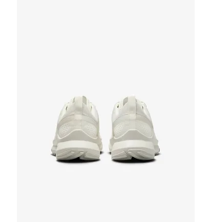 Кроссовки мужские Nike Pegasus Trail 4 Beige DJ6158-008