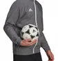 Олимпийка мужская Adidas Jacket Ent22 Pre Jkt Grey H57535