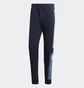 Штаны мужские Adidas Sid Pnt Brnd Black EB7593