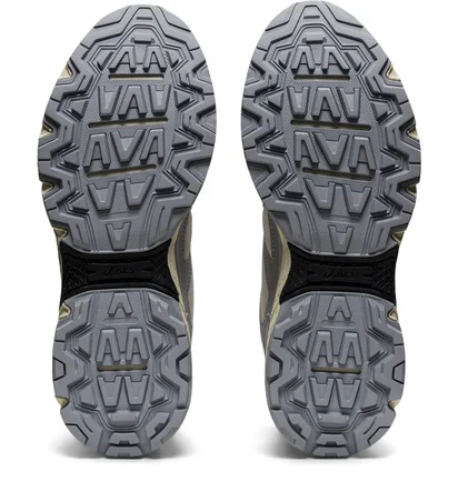 Кросівки чоловічі Asics Gel-Venture 6 Grey/Beige 1201A521-201