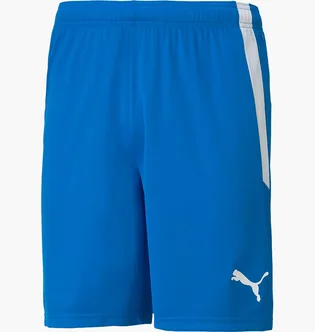 Шорти чоловічі Puma Teamliga Shorts Blue 704924-02