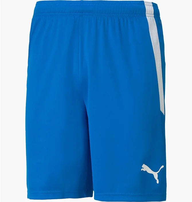 Шорты мужские Puma Teamliga Shorts Blue 704924-02