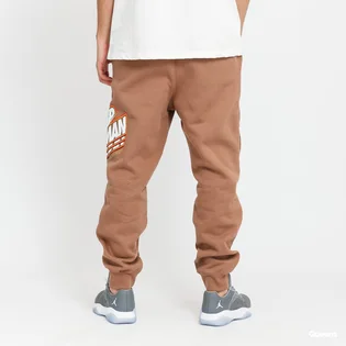 Штаны мужские Air Jordan M J JMPMN FLC PANT DC9608-256
