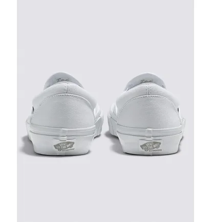Кеди унісекс Vans Skate Slip-On Shoe White VN0A5FCAW00