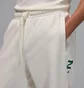 Штаны мужские Air Jordan Essentials MenS Fleece Joggers White HQ4645-133