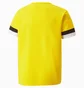 Футболка детская Puma Teamrise Jersey Yellow 704938-07