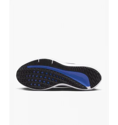 Кроссовки мужские Nike Winflo 10 Blue DV4022-005