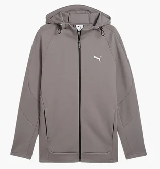 Толстовка мужская Puma Evostripe Full-Zip Hoodie Grey 684613-79