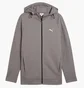 Толстовка мужская Puma Evostripe Full-Zip Hoodie Grey 684613-79