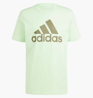 Футболка мужская Adidas Essentials Single Jersey Big Logo Green IS1302