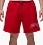 Шорты мужские Air Jordan Brk Lbr Gfx Red IB7910-687