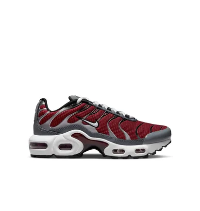 Кросівки дитячі Nike Air Max Plus Gs Bordo/Grey CD0609-602