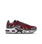 Кросівки дитячі Nike Air Max Plus Gs Bordo/Grey CD0609-602