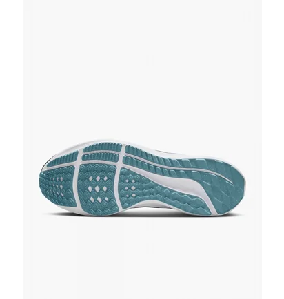 Кросівки жіночі Nike Pegasus 39 White Dh4072-006