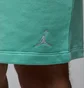 Шорти чоловічі Air Jordan Ess Flc Short Lb Turquoise FQ4534-349