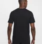 Футболка мужская Nike Cfc Crest Black HQ0251-010