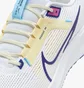 Кросівки чоловічі Nike Pegasus 40 White DV3853-105