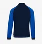 Олімпійка чоловіча Nike Dri-Fit Academy Pro Track Jacket (K) Blue DH9234-451