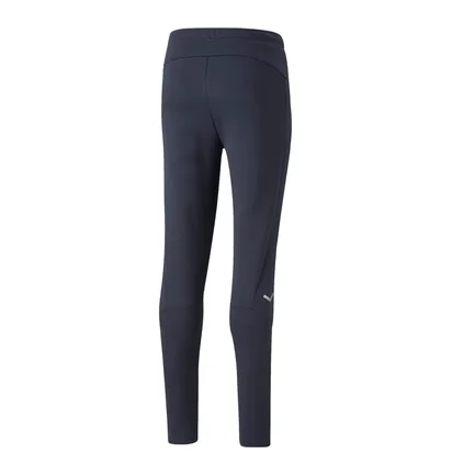 Штаны мужские Puma Teamfinal Casuals Blue 657386-06