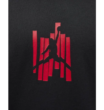 Футболка мужская Air Jordan Brand Graphic T-Shirt Black FD7025-010