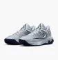 Кросівки чоловічі Nike Giannis Immortality 4 Grey FQ3680-008