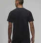 Футболка мужская Air Jordan Mens Graphic T-Shirt Black Dm1440-010