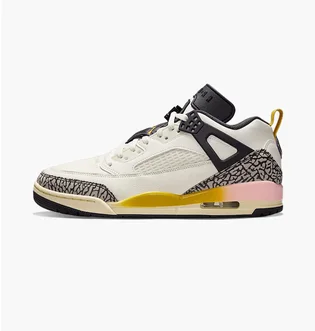 Кроссовки мужские Air Jordan Spizike Low Beige/Multi FQ1759-107