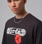 Футболка мужская Air Jordan Graphic Tee Grey IQ0816-045