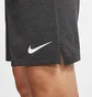 Шорти чоловічі Nike M Nk Df Cotton Short Grey CJ2044-032