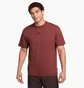 Футболка мужская Nike Sportswear Premium Essentials Bordo DO7392-231