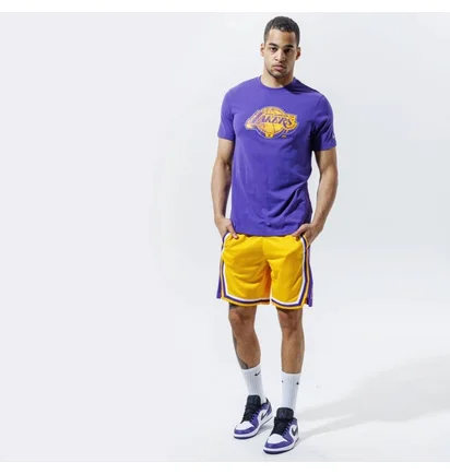 Футболка мужская Nike Nba Los Angeles Lakers Violet CZ7273-547