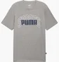 Футболка мужская Puma Collegiate Logo Tee Grey 682214-03