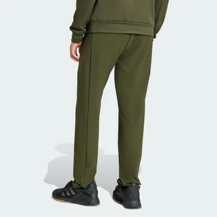Штаны мужские Adidas Tr Ess Hp Olive JV7385