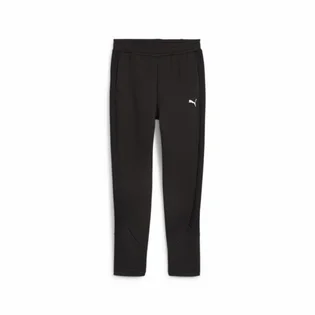 Штани жіночі Puma Evostripe Pants Black 677880-01